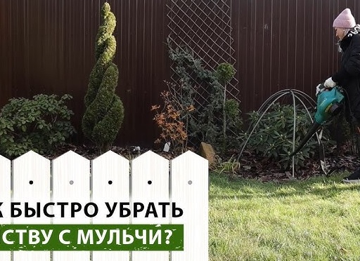 Как правильно убираться и поддерживать порядок в доме